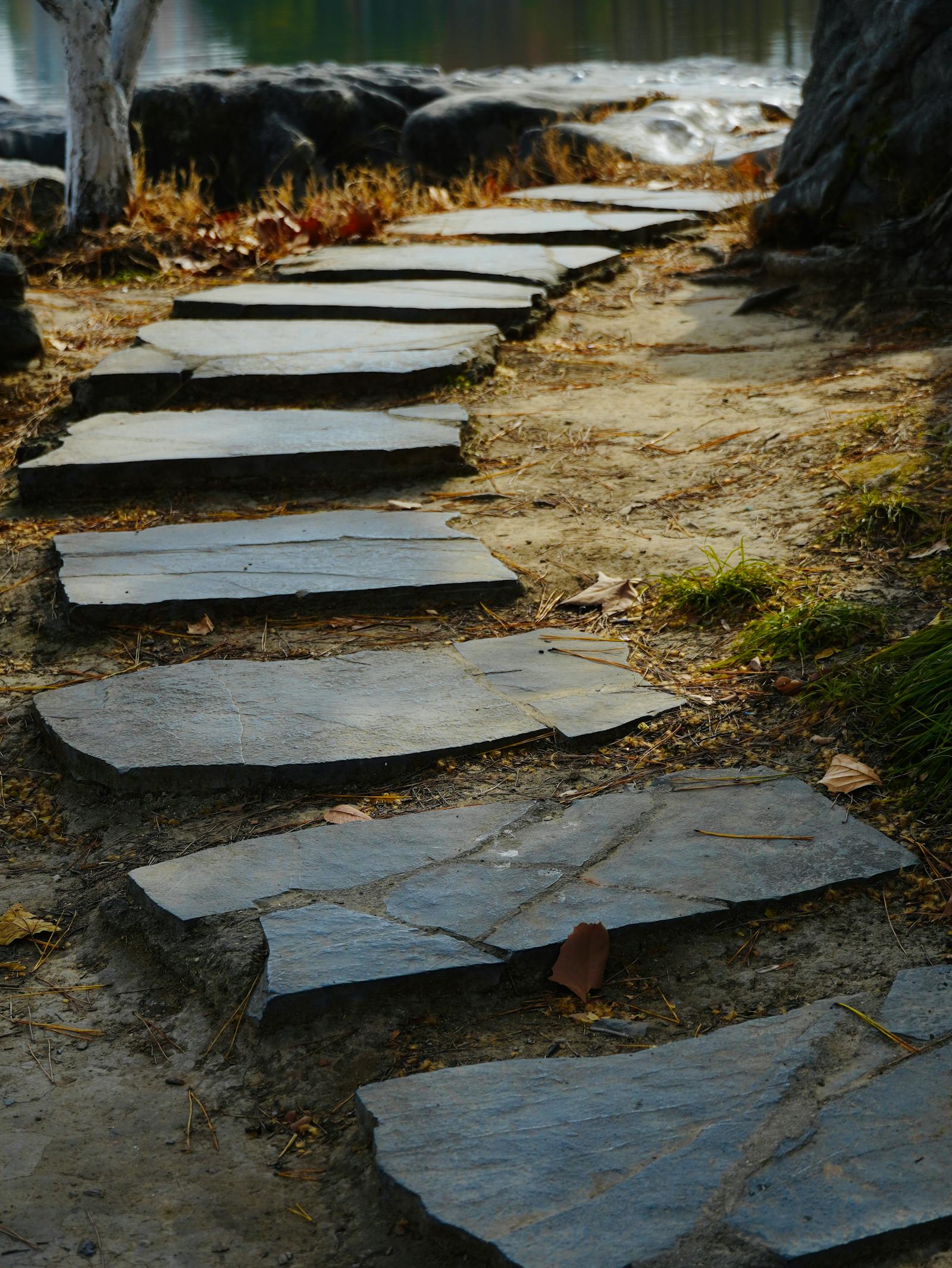 Rustic stone pathway winding through a Sonoran-style garden